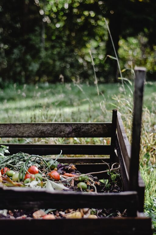 Beginner Tips for Composting at Home: A Simple Guide to Get Started